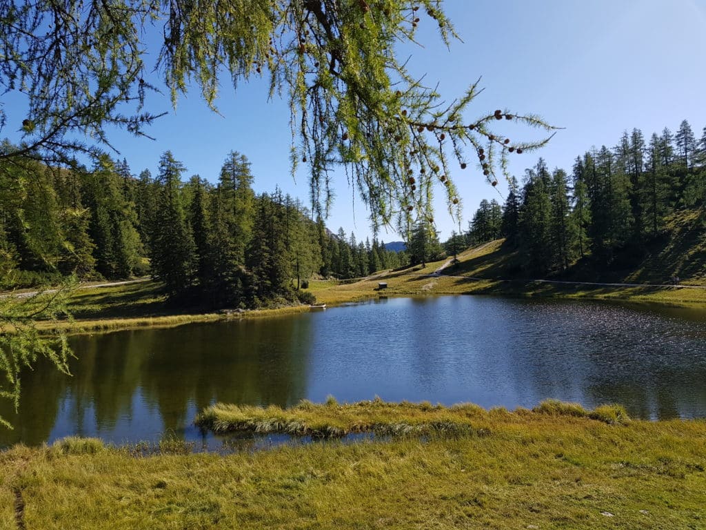 Tauplitzalm, Salzkammergut, Steiermark, Österreich