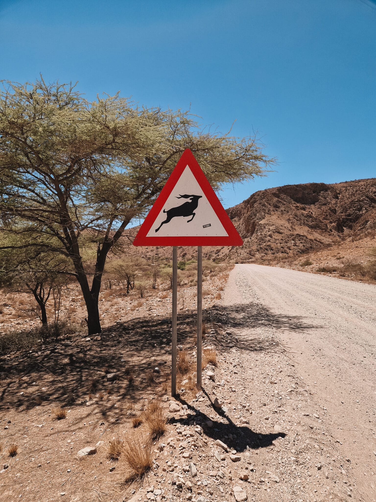 Was Sollte Man In Namibia Nicht Essen christinastravelworld.com