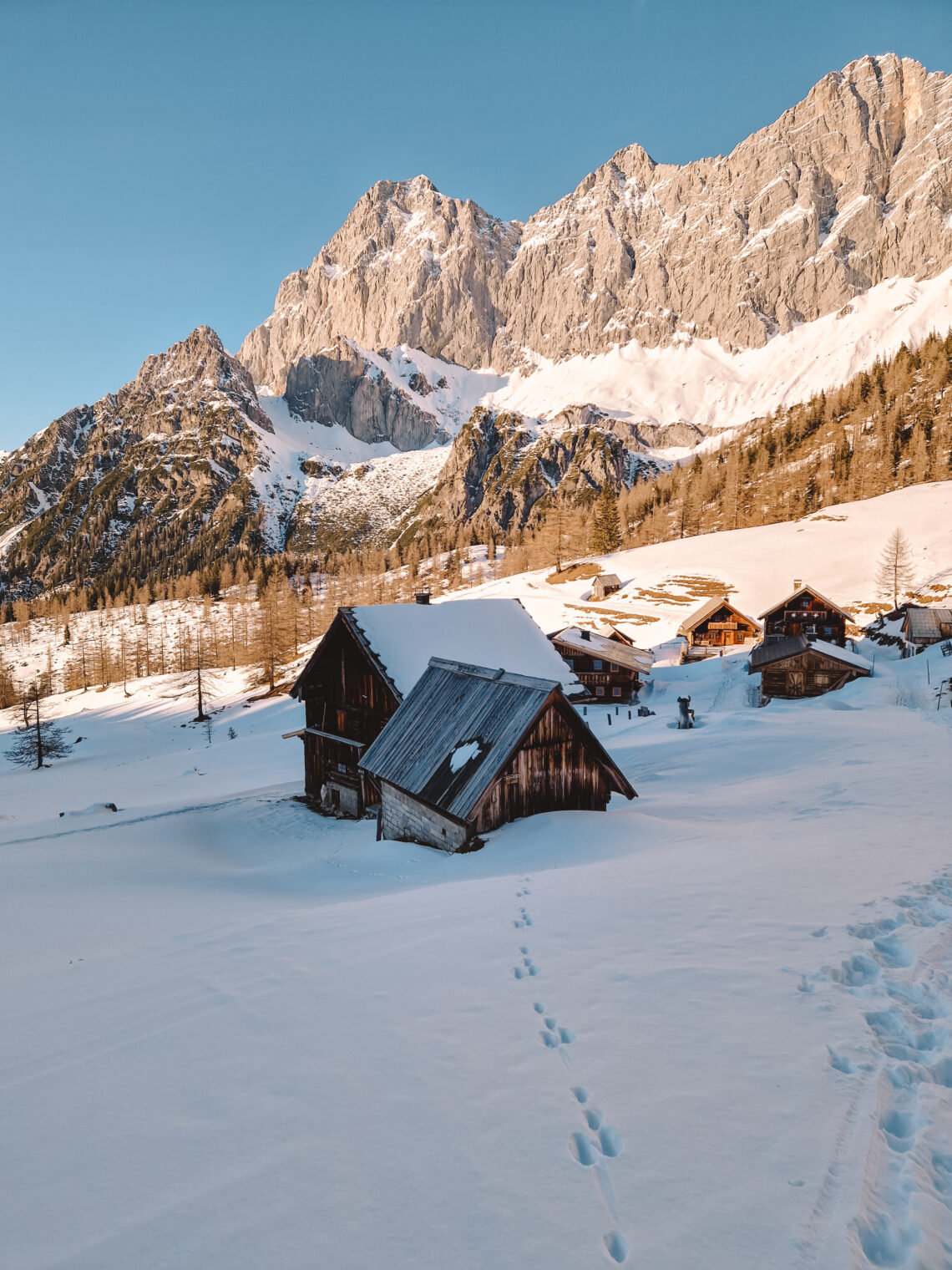 Winterwandern Ramsau am Dachstein