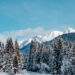 Winterwandern Region Seefeld in Tirol